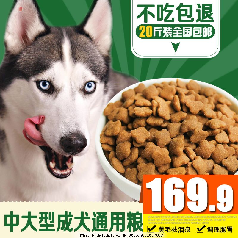 寵物食品主圖設(shè)計要點與市場趨勢分析